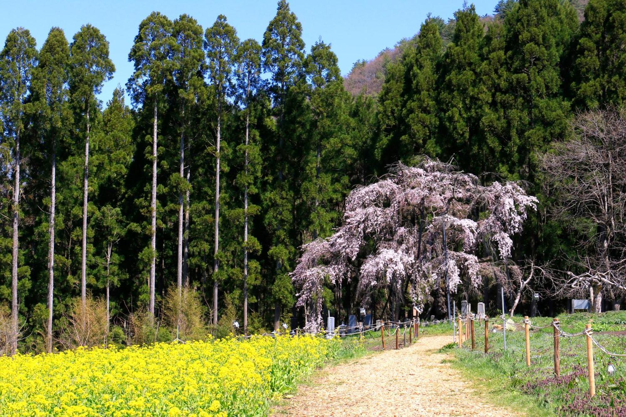 Fujiiso (Adults Only) Hotel Takayama  Bagian luar foto