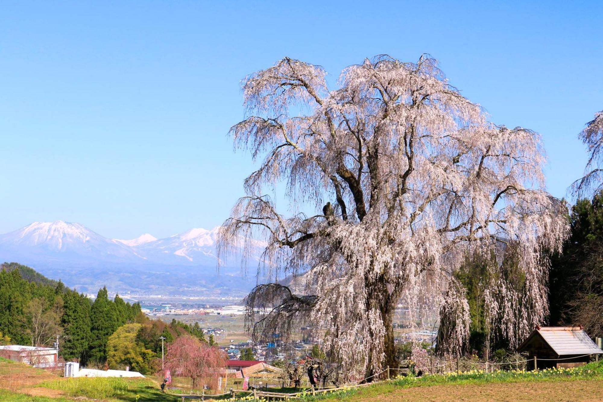 Fujiiso (Adults Only) Hotel Takayama  Bagian luar foto